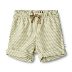 Wheat shorts Milton - Green stripe
